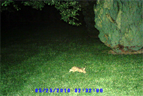 Photo prise par la caméra NOVProcam
